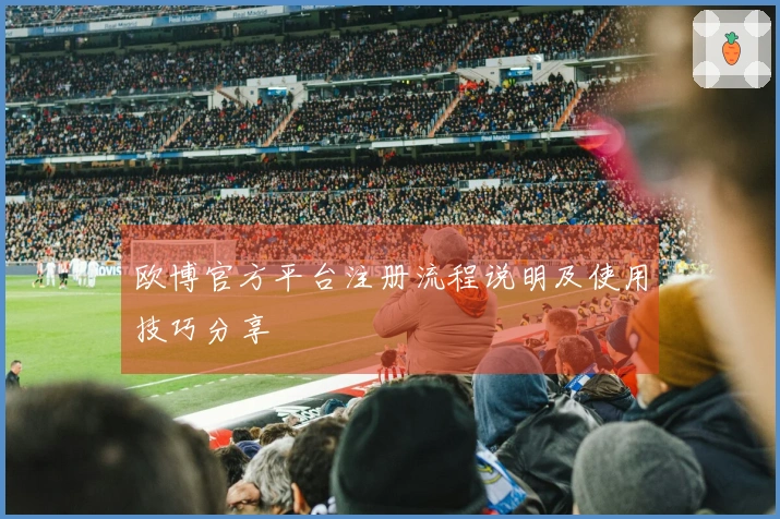 欧博官方平台注册流程说明及使用技巧分享