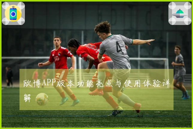 欧博APP版本功能亮点与使用体验详解