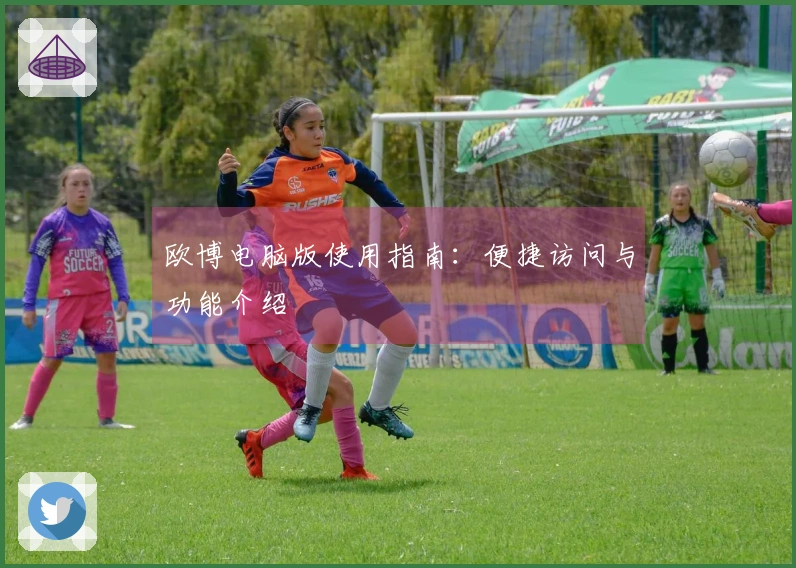 欧博电脑版使用指南：便捷访问与功能介绍