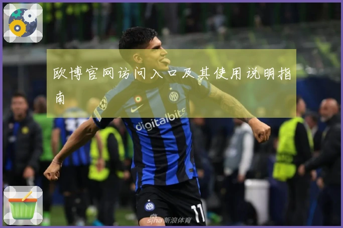 欧博官网访问入口及其使用说明指南