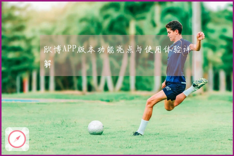 欧博APP版本功能亮点与使用体验详解